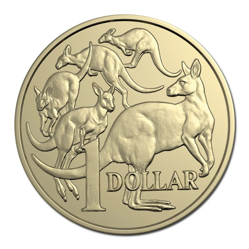 2024 $1 dollar King Charles Uncirculated coin from RAM roll