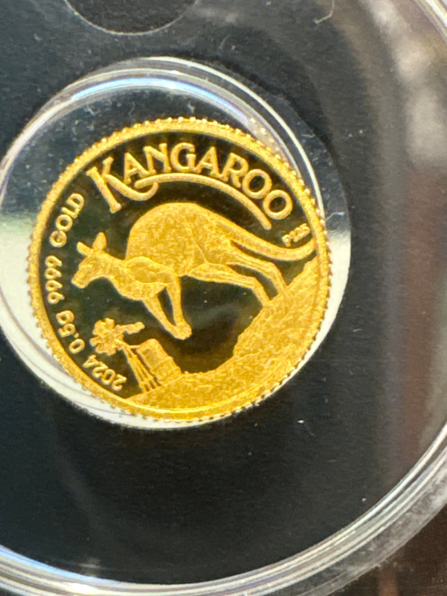 2024 $2 Australian Kangaroo Miniature Gold coin .5 grams