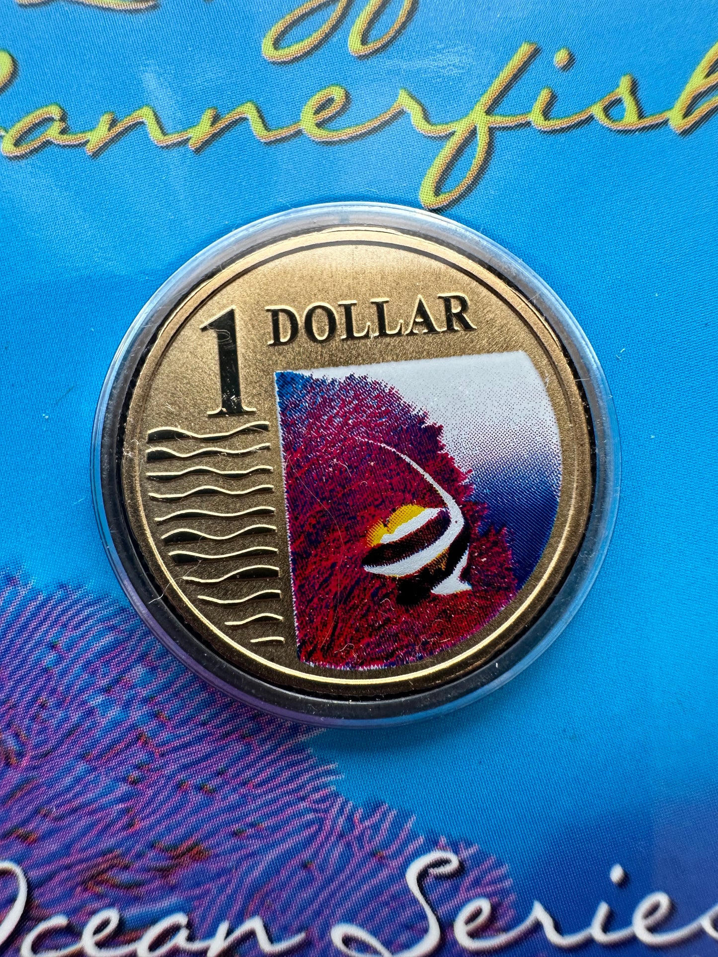 2006 $1 Ocean Series coloured coin - Long Fin Bannerfish