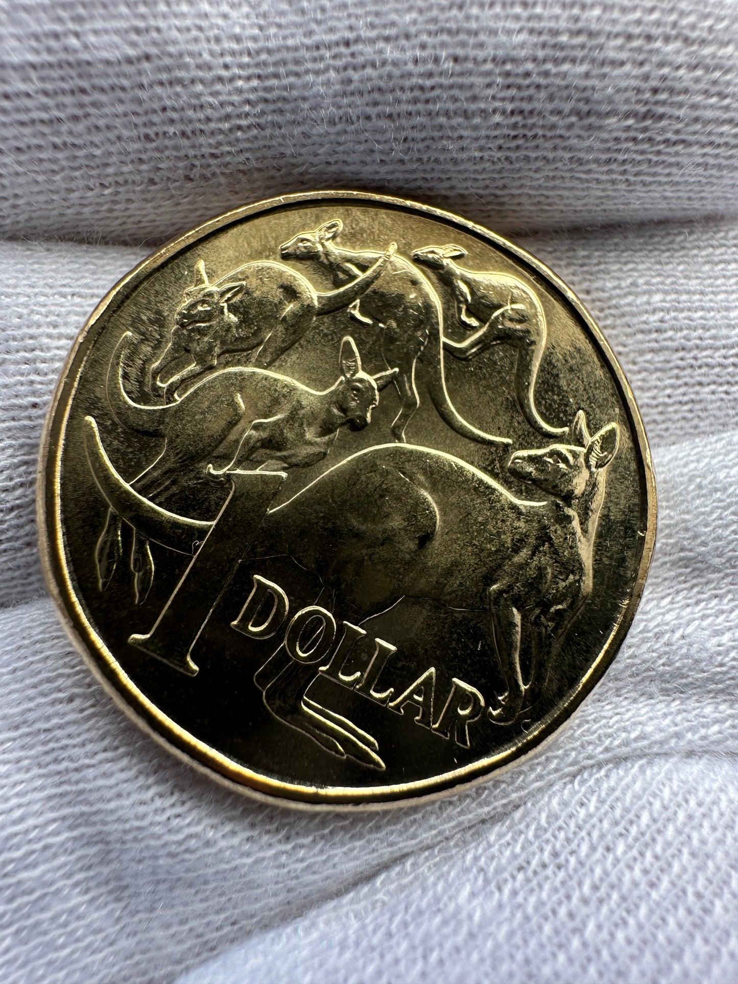 2019 $1 One Dollar Coin Jody Clark (JC) UNCIRCULATED - RARE LOW MINTAGE BRILLIANT LUSTRE