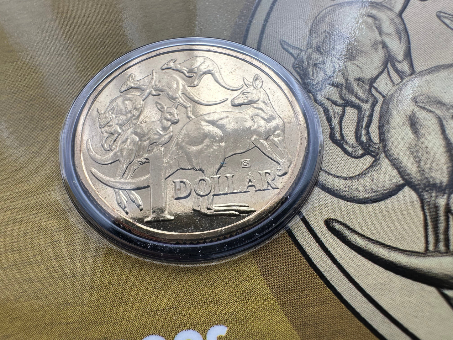 2015 Mob Of Roos $1 One Dollar Privy S,M,B & P Carded Coins
