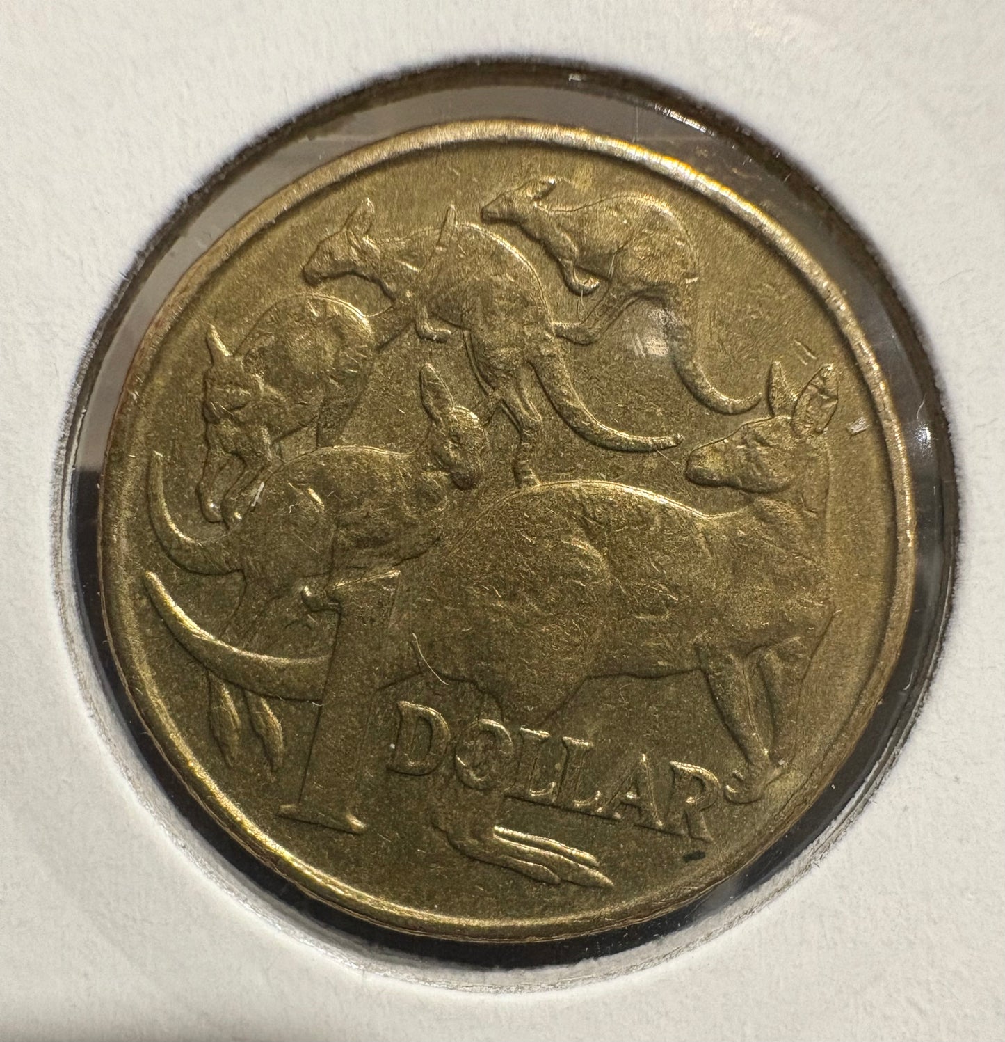 2000 $1 Dollar Mob of Roos 10 Cent Mule Error Coin