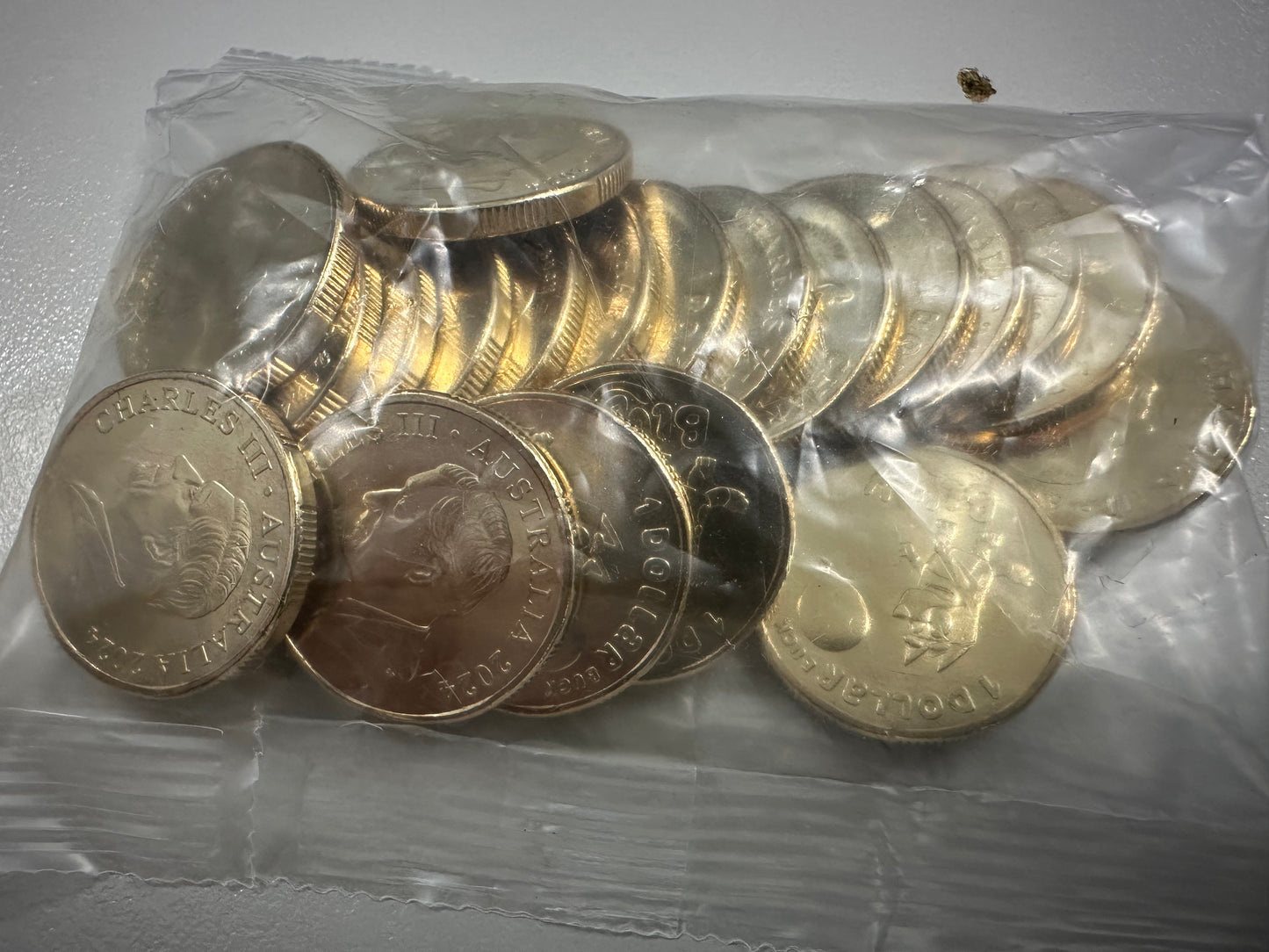 2024 $1 Bluey Dollar Bucks Coins - Bluey