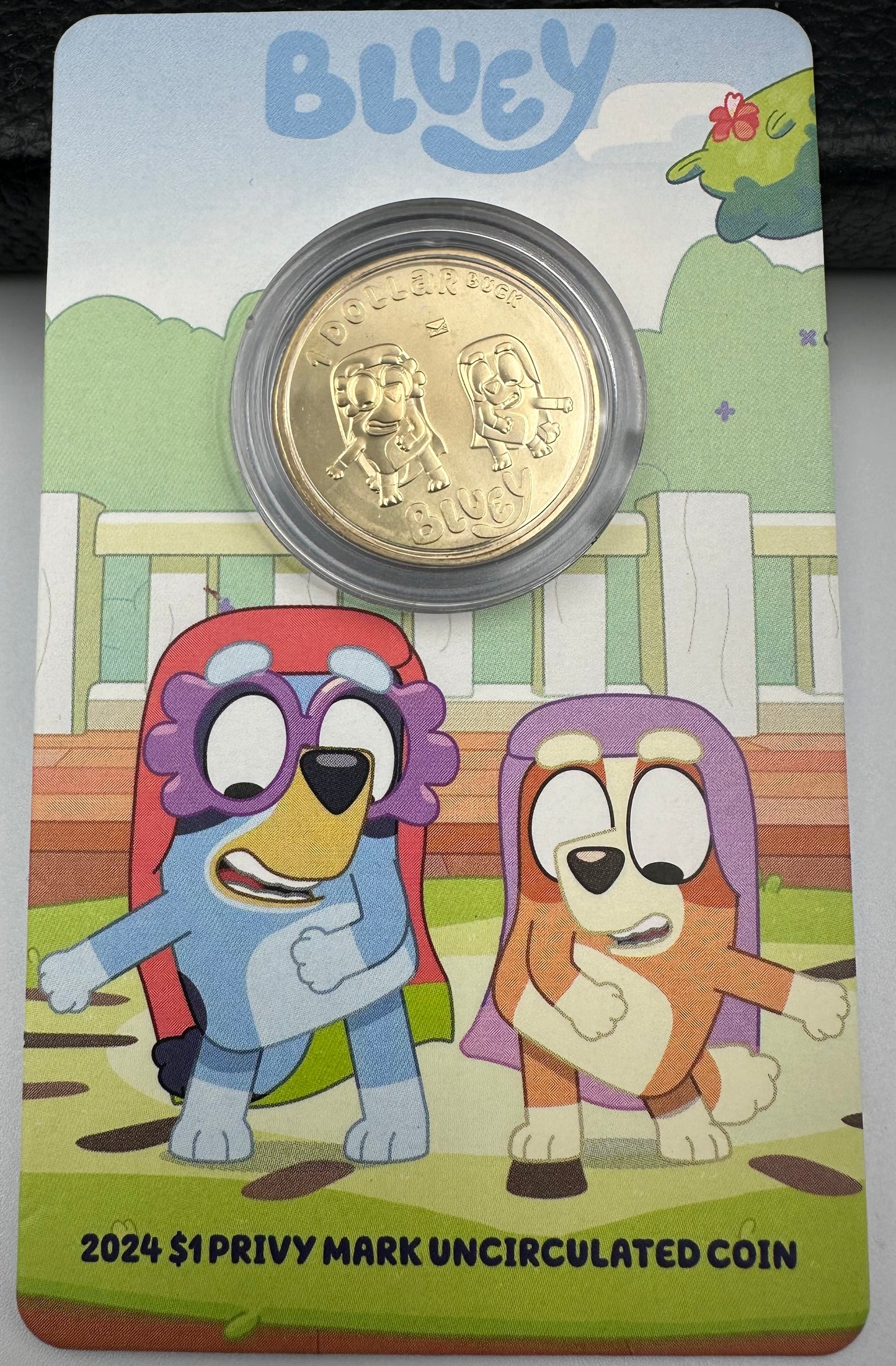 2024 Bluey Dollarbucks $1 Privy Mark Coin-in-Card – The Grannies