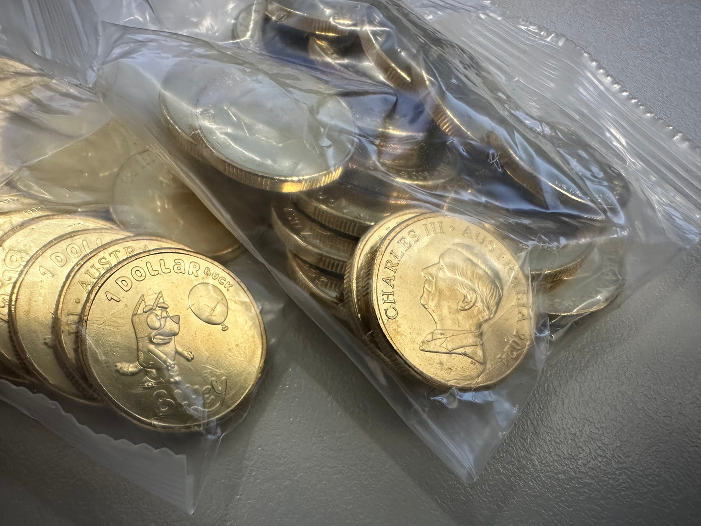 2024 $1 Bluey Dollar Bucks Coins - Bluey