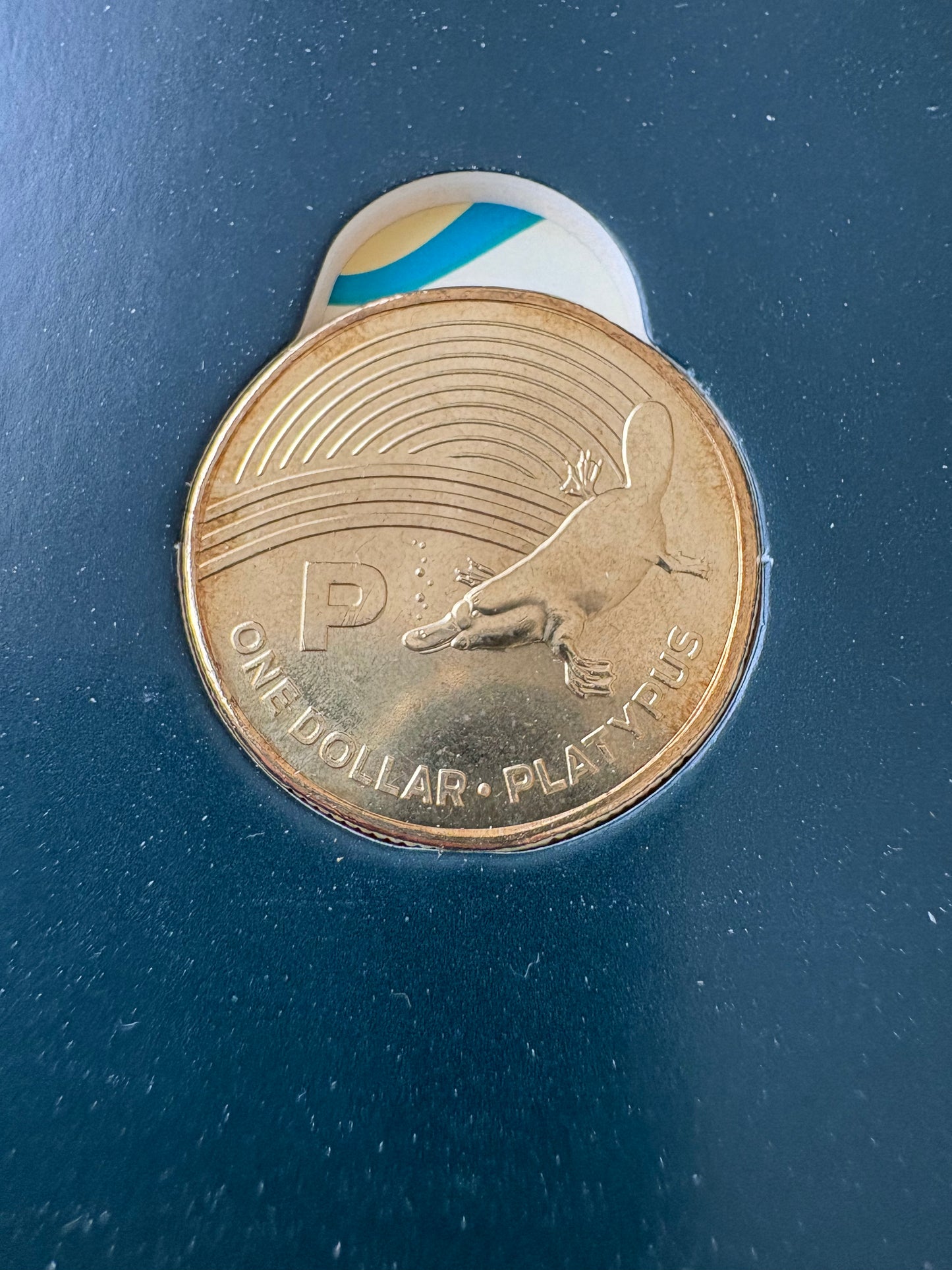 2019 $1 The Great Aussie Coin Hunt - P for Platypus