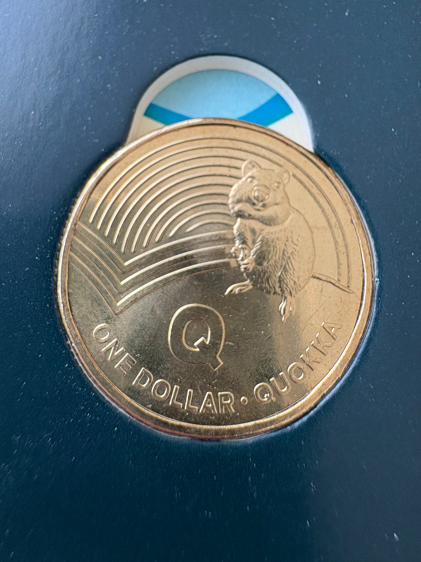 2019 $1 The Great Aussie Coin Hunt - Q for Quokka