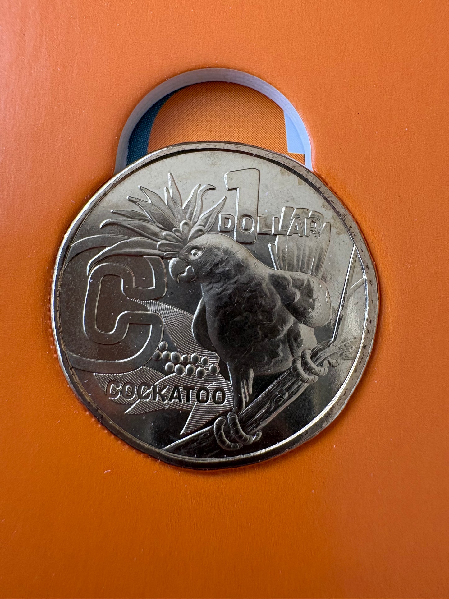 2022 $1 The Great Aussie Coin Hunt 3 - C for Cockatoo