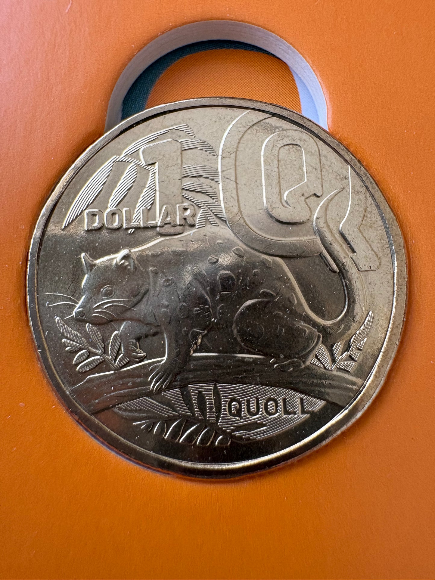 2022 $1 The Great Aussie Coin Hunt 3 - Q for Quoll