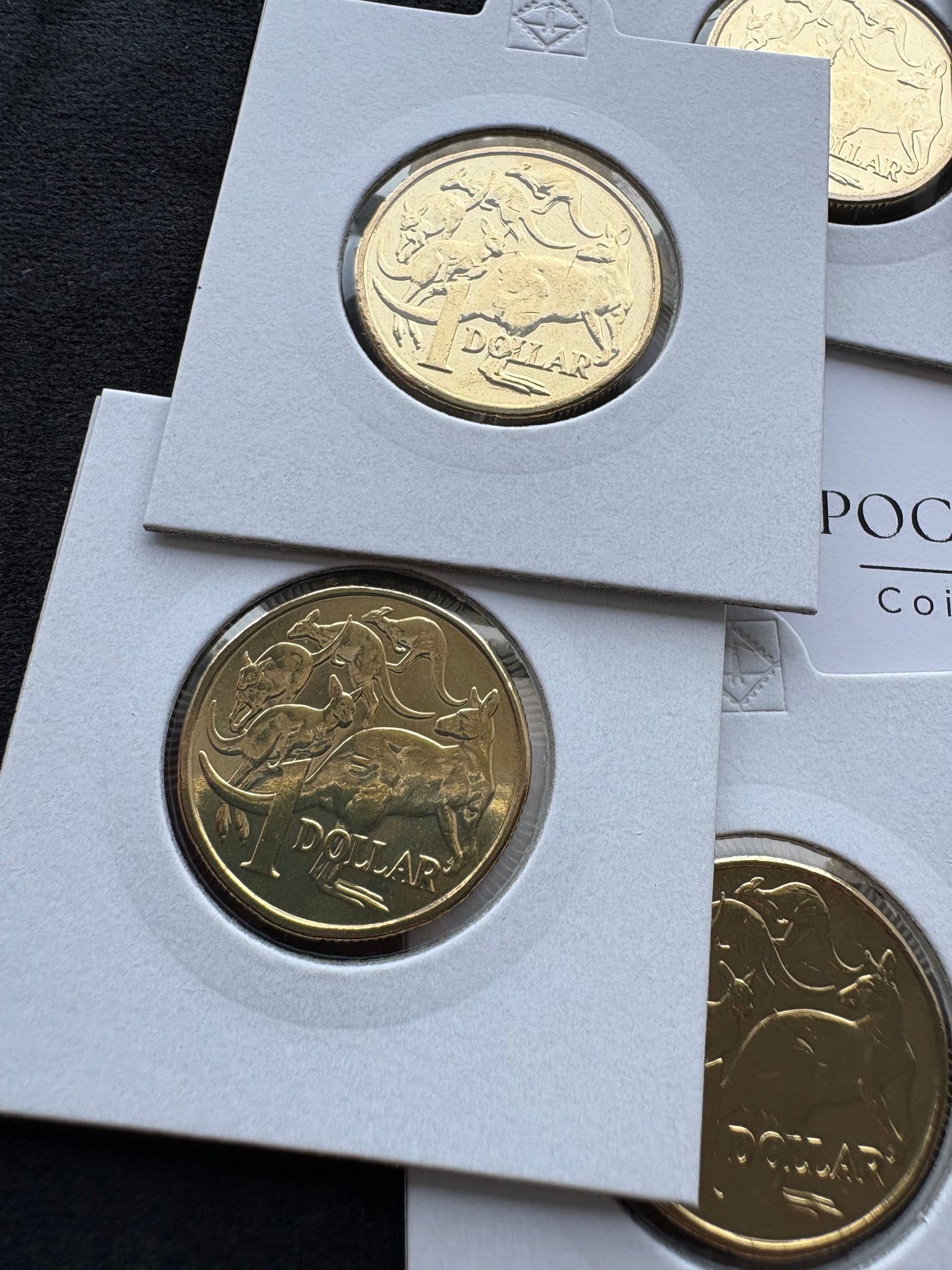 2021 $1 Jody Clark Effigy - Mob of Roos Uncirculated Coins from RAM Mint bag