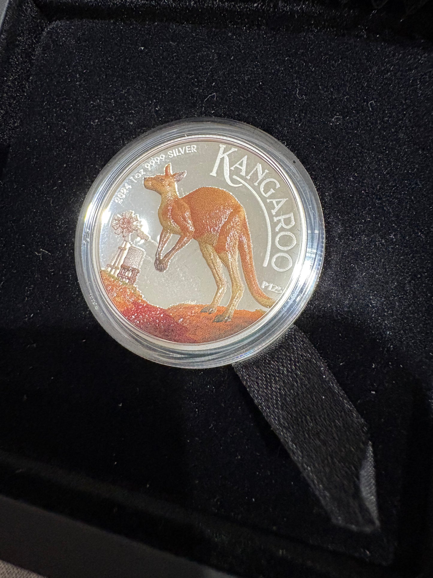2024 $1 Australian Kangaroo – 1oz Silver Proof High Relief Coloured Coin