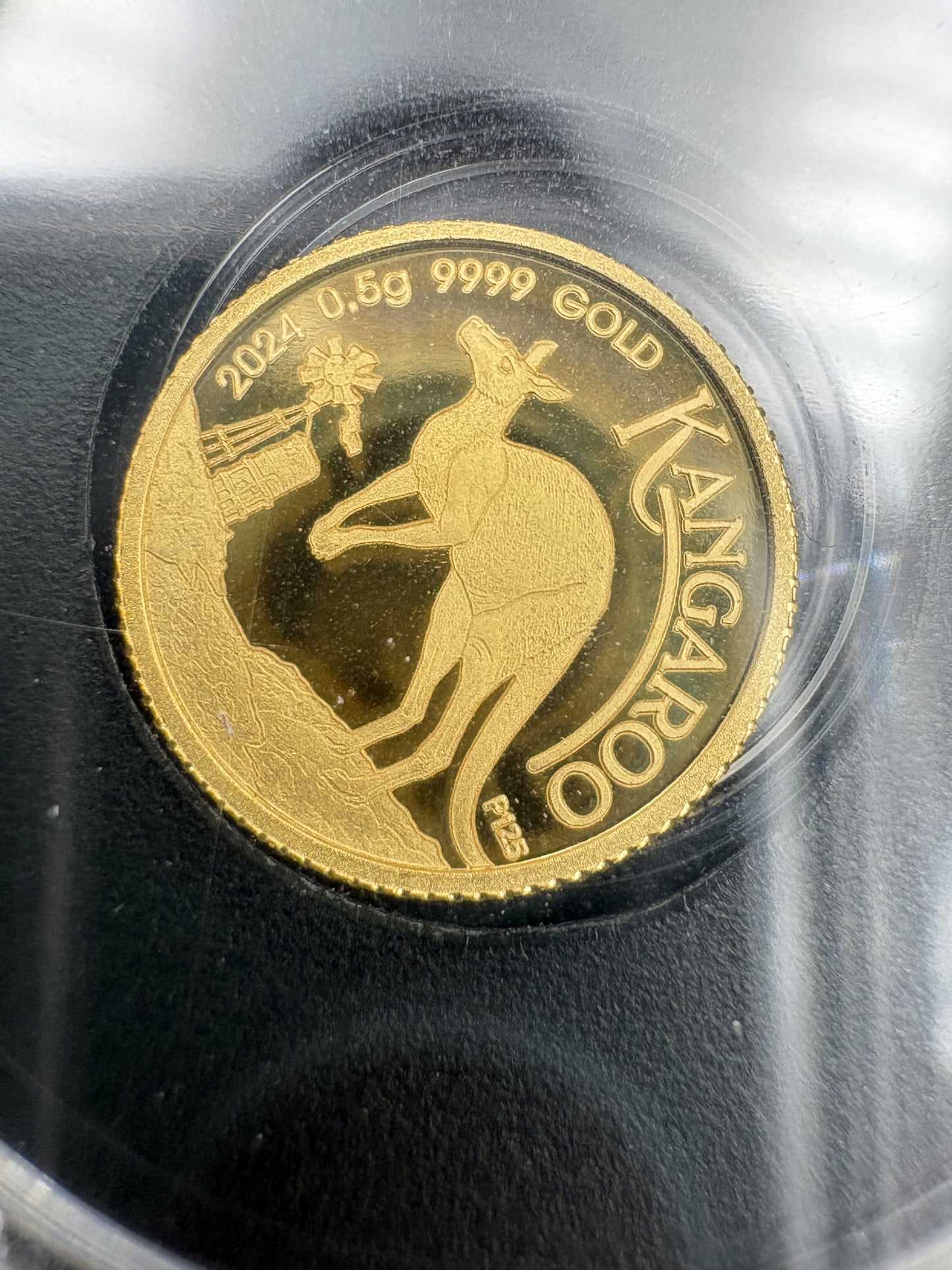 2024 $2 Australian Kangaroo Miniature Gold coin .5 grams