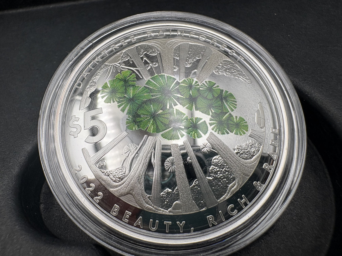 2022 $5 Beauty, Rich and Rare Daintree Rainforest Silver Proof Domed Coin