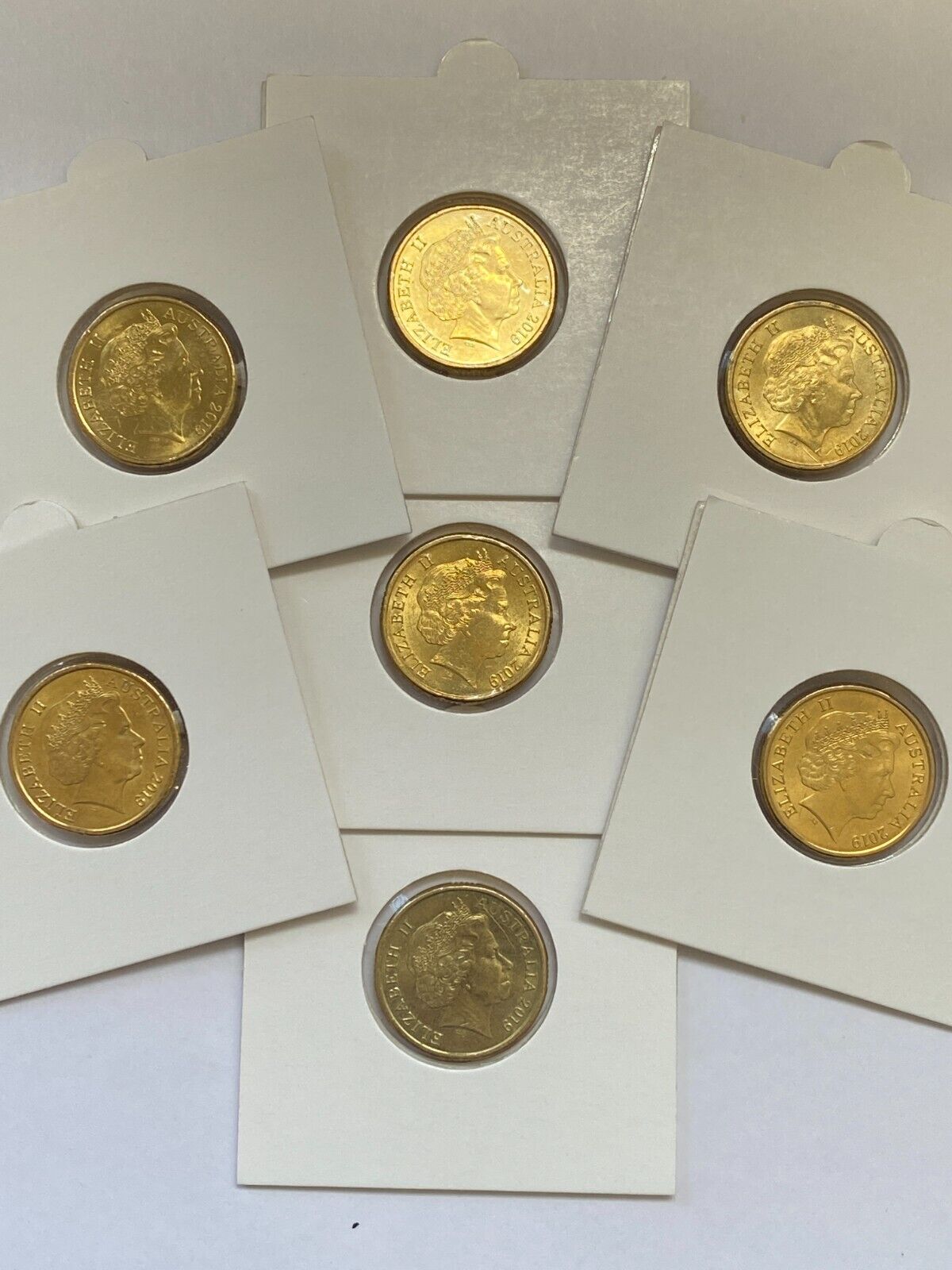 2019 Australian $2 two dollar Coloured Wallabies coin - CIRCULATED