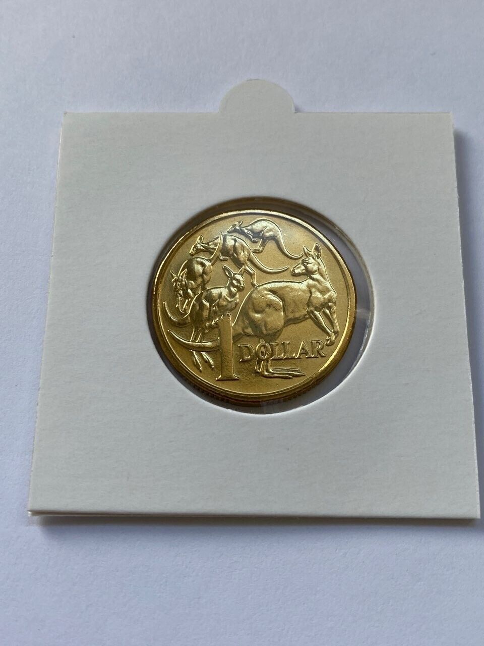 2014 Mob of Roos UNCIRCULATED Coin from RAM roll - RARE LOW MINTAGE BRILLIANT LUSTRE