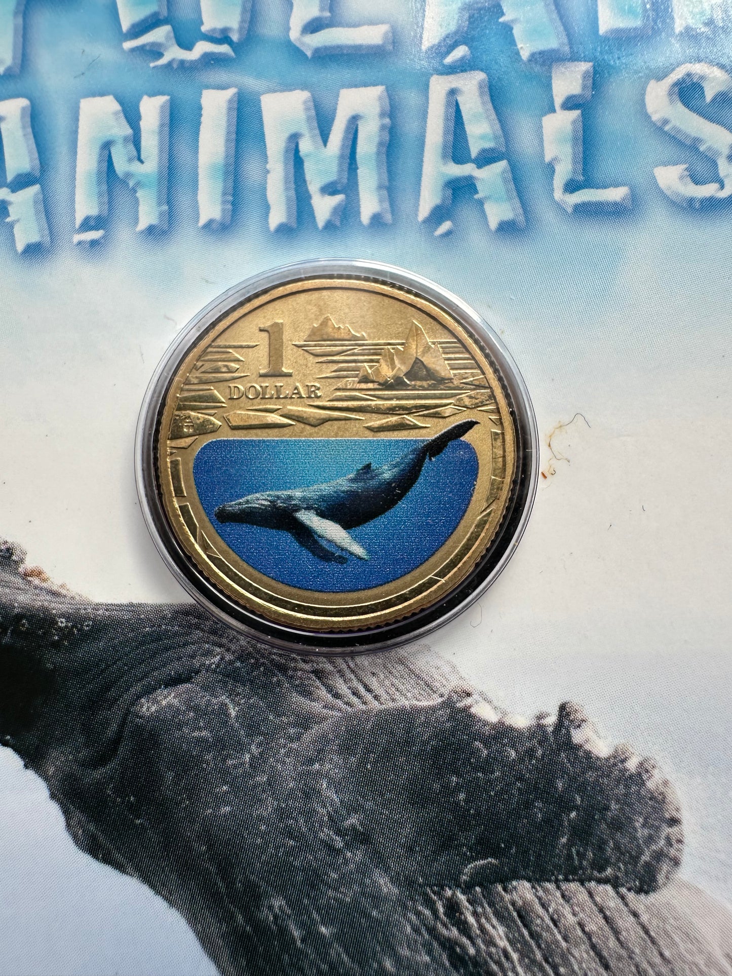 2013 $1 Polar Animals Series coloured coin - Humpback Whale