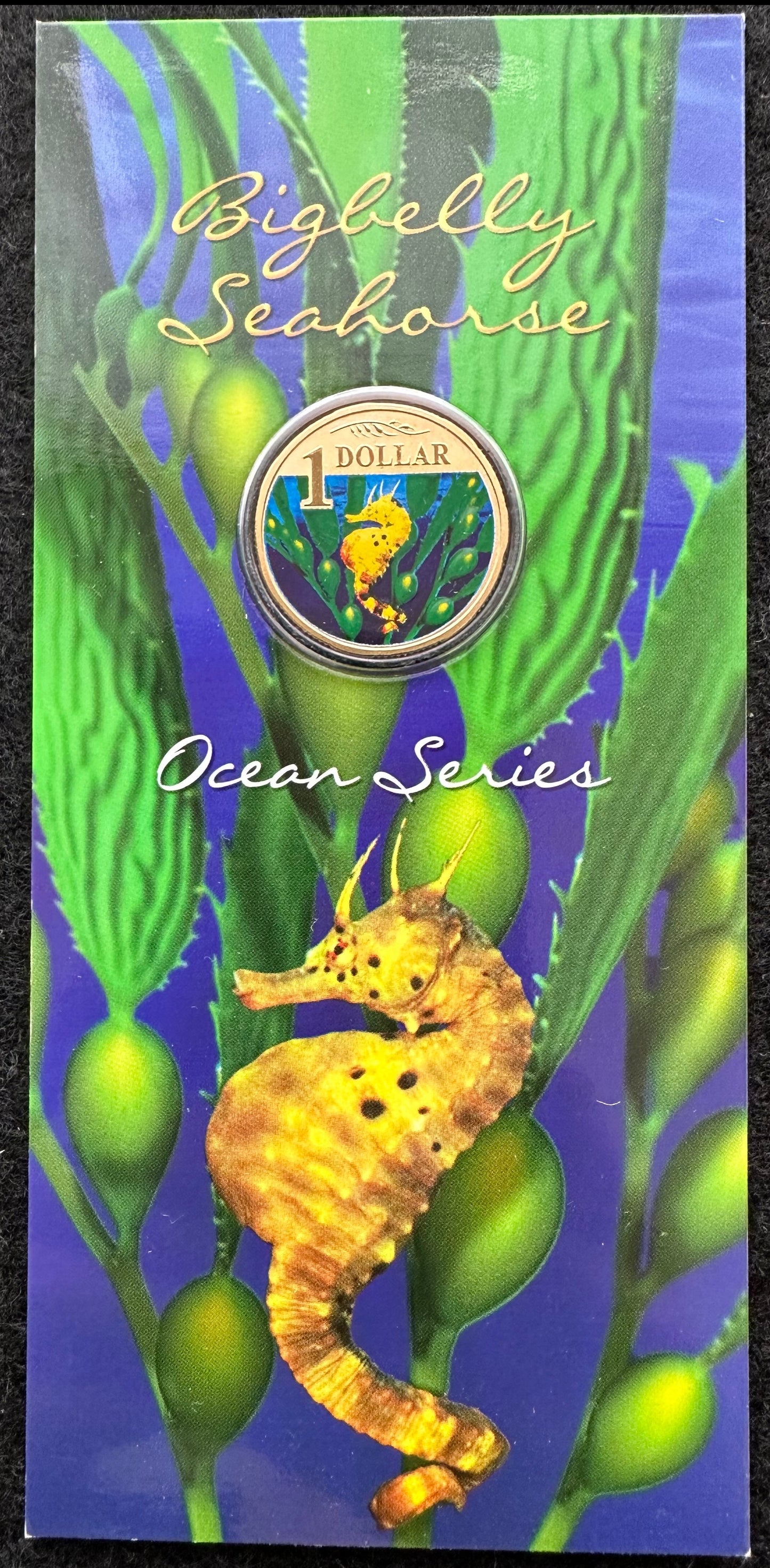 2006 $1 Ocean Series coloured coin - Bigbelly Seahorse