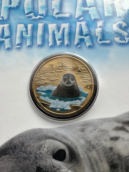 2013 $1 Polar Animals Series coloured coin - Weddell Seal