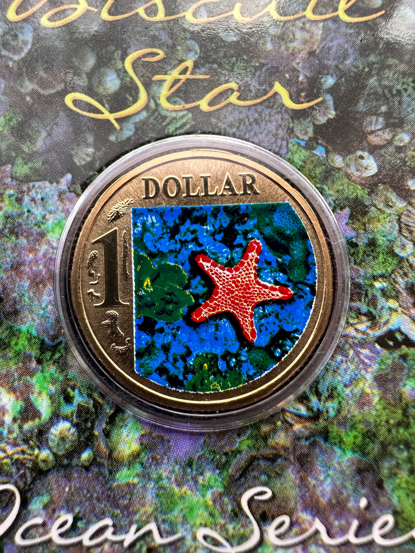 2006 $1 Ocean Series coloured coin - Biscuit Star