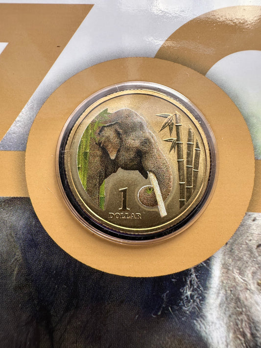 2012 $1 Animals of the Zoo Series coloured coin - Asian Elephant