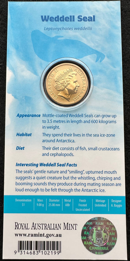 2013 $1 Polar Animals Series coloured coin - Weddell Seal