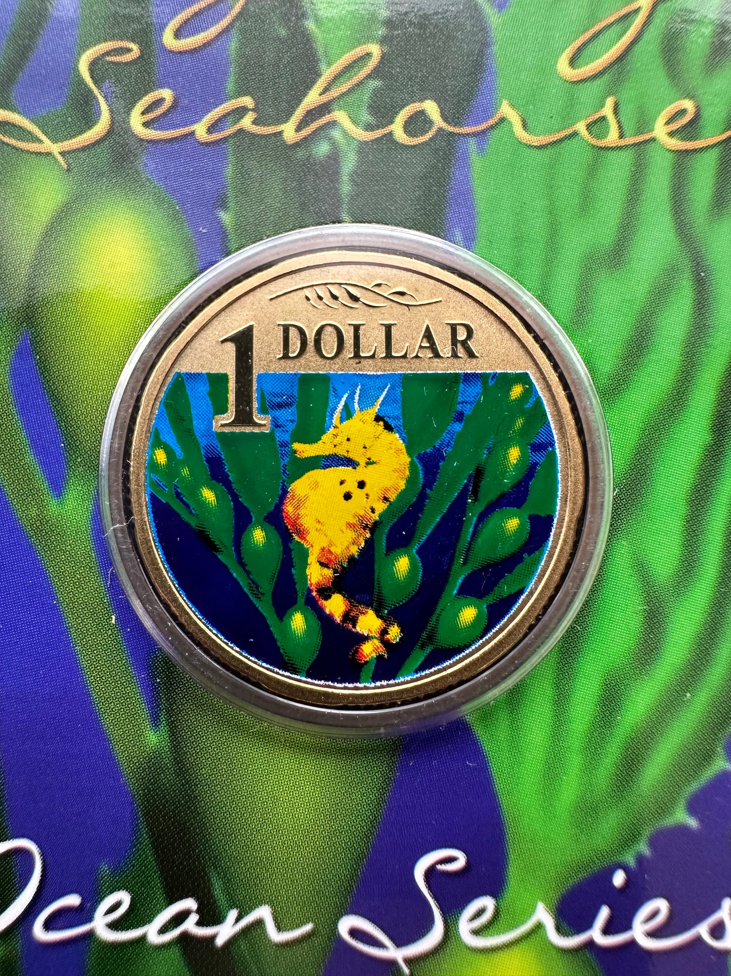 2006 $1 Ocean Series coloured coin - Bigbelly Seahorse