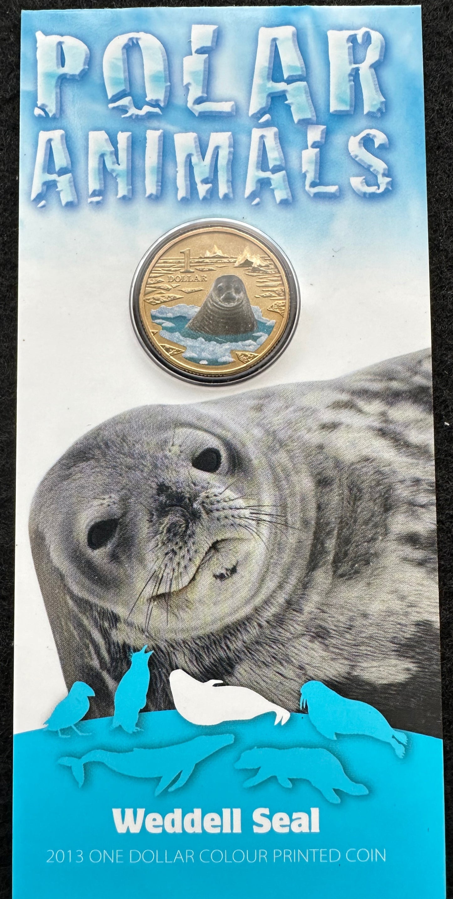 2013 $1 Polar Animals Series coloured coin - Weddell Seal