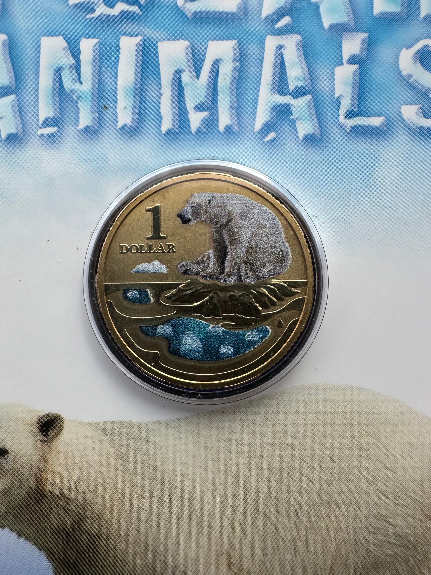 2013 $1 Polar Animals Series coloured coin - Polar Bear