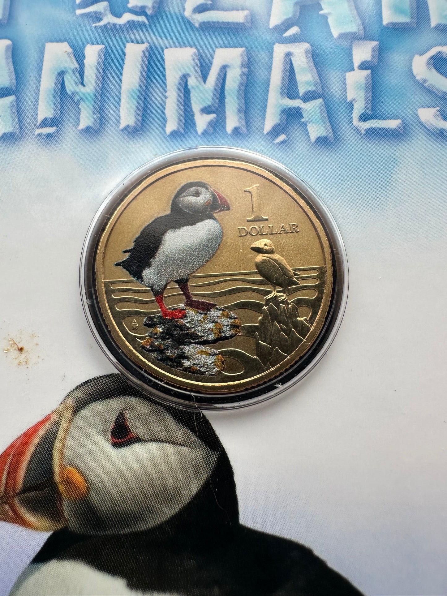 2013 $1 Polar Animals Series coloured coin - Atlantic Puffin