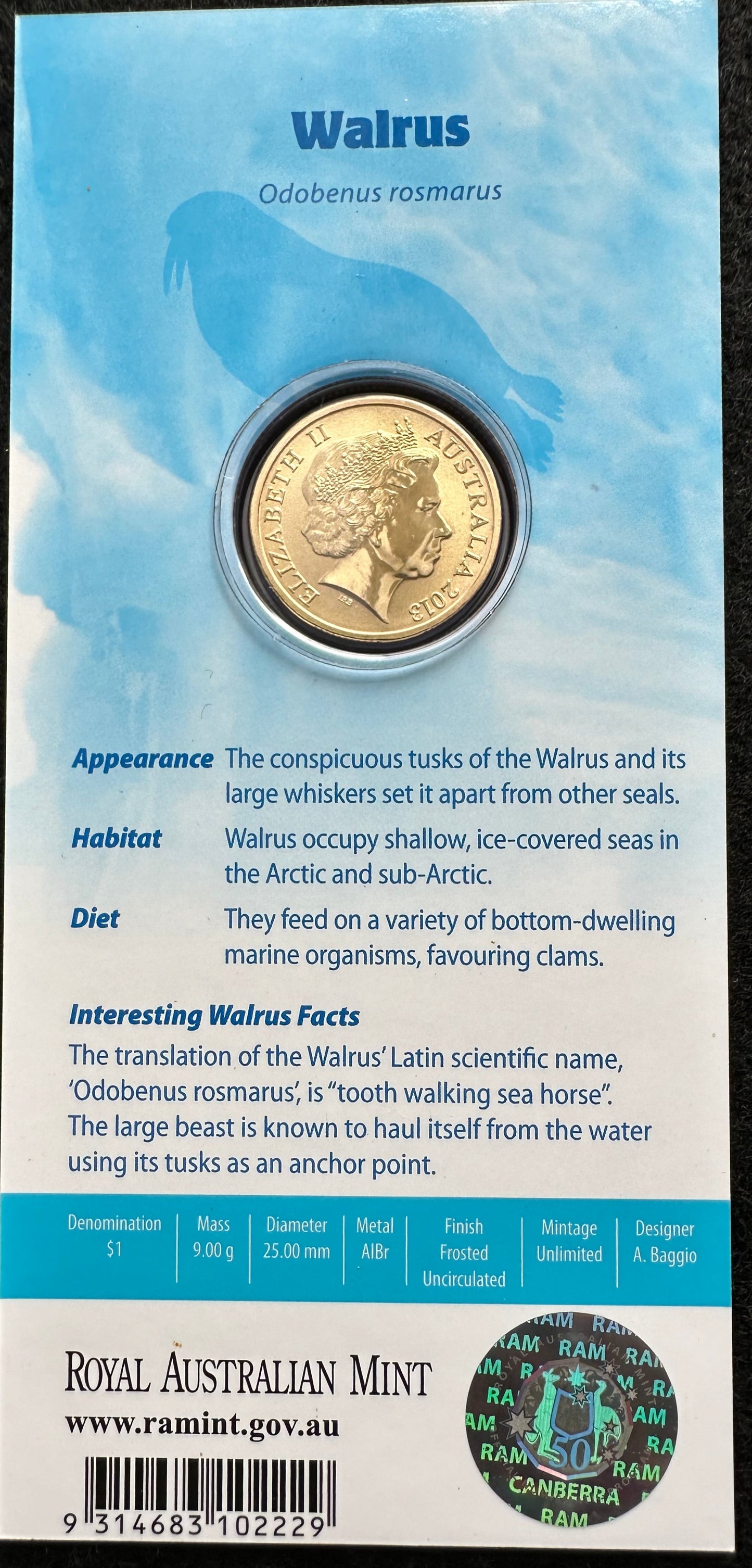 2013 $1 Polar Animals Series coloured coin - Walrus