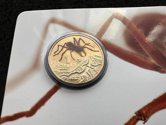 2014 $1 Bright Bugs Series – Red Bull Ant Uncirculated Coin in Card