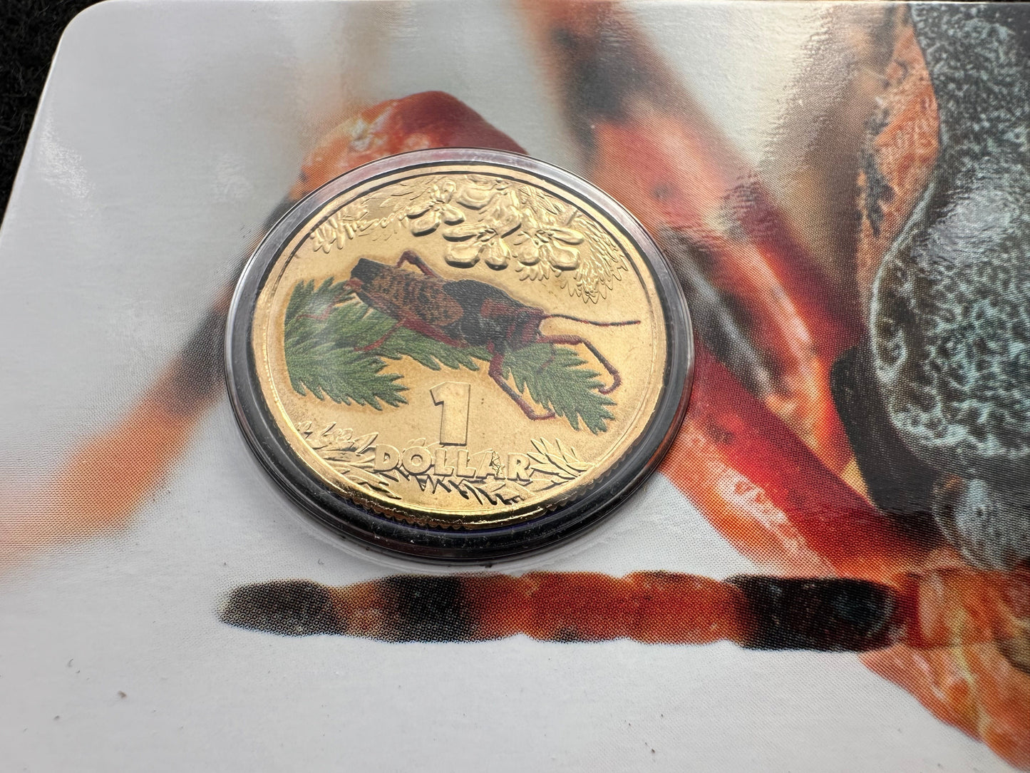 2014 $1 Bright Bugs Series – Leichhardt's Grasshopper Uncirculated Coin in Card