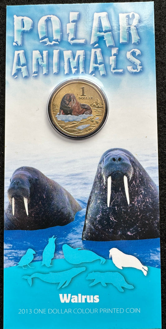 2013 $1 Polar Animals Series coloured coin - Walrus