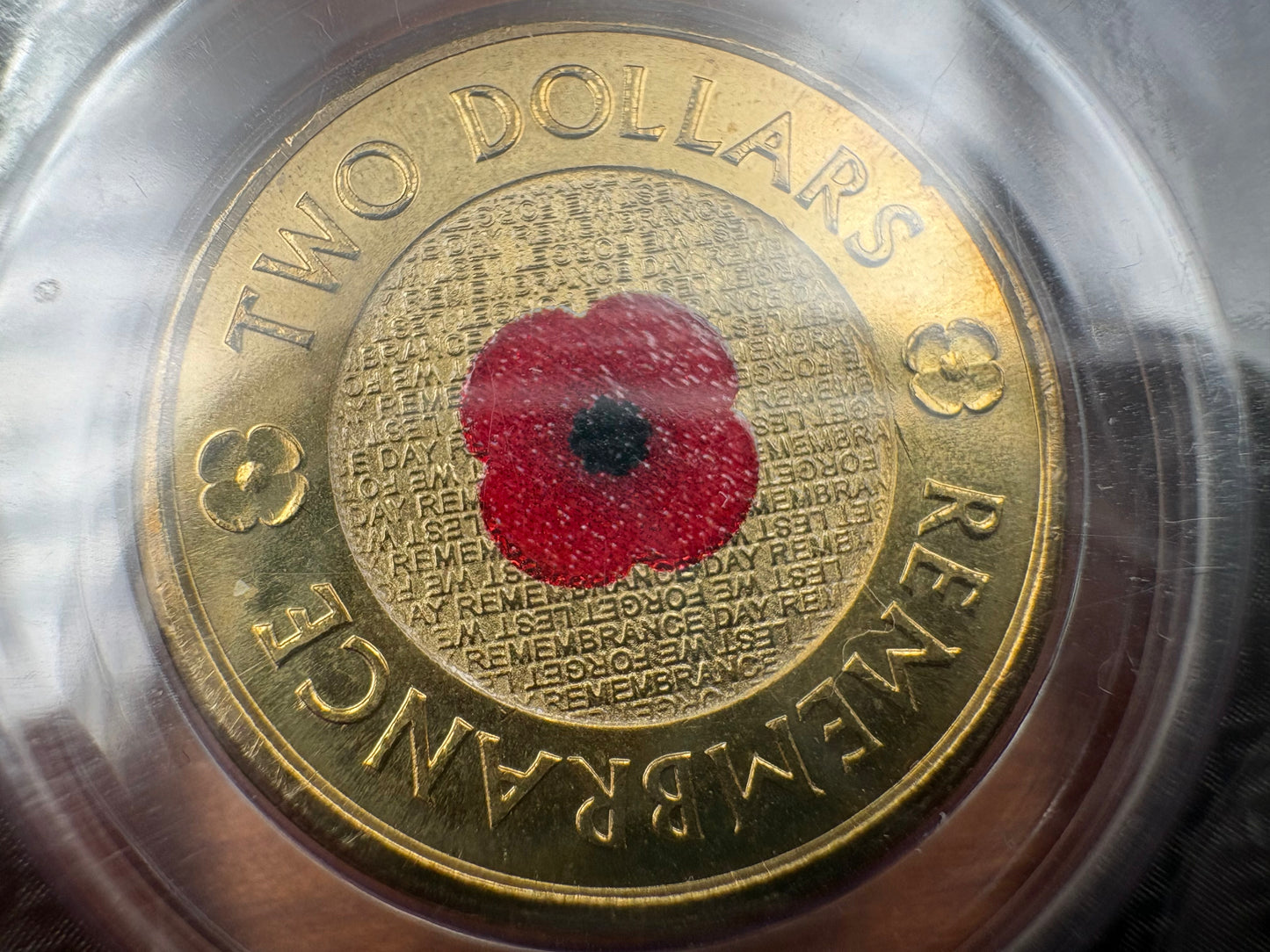 2012 Remembrance Day Red Poppy $2 Coin in Downies Card