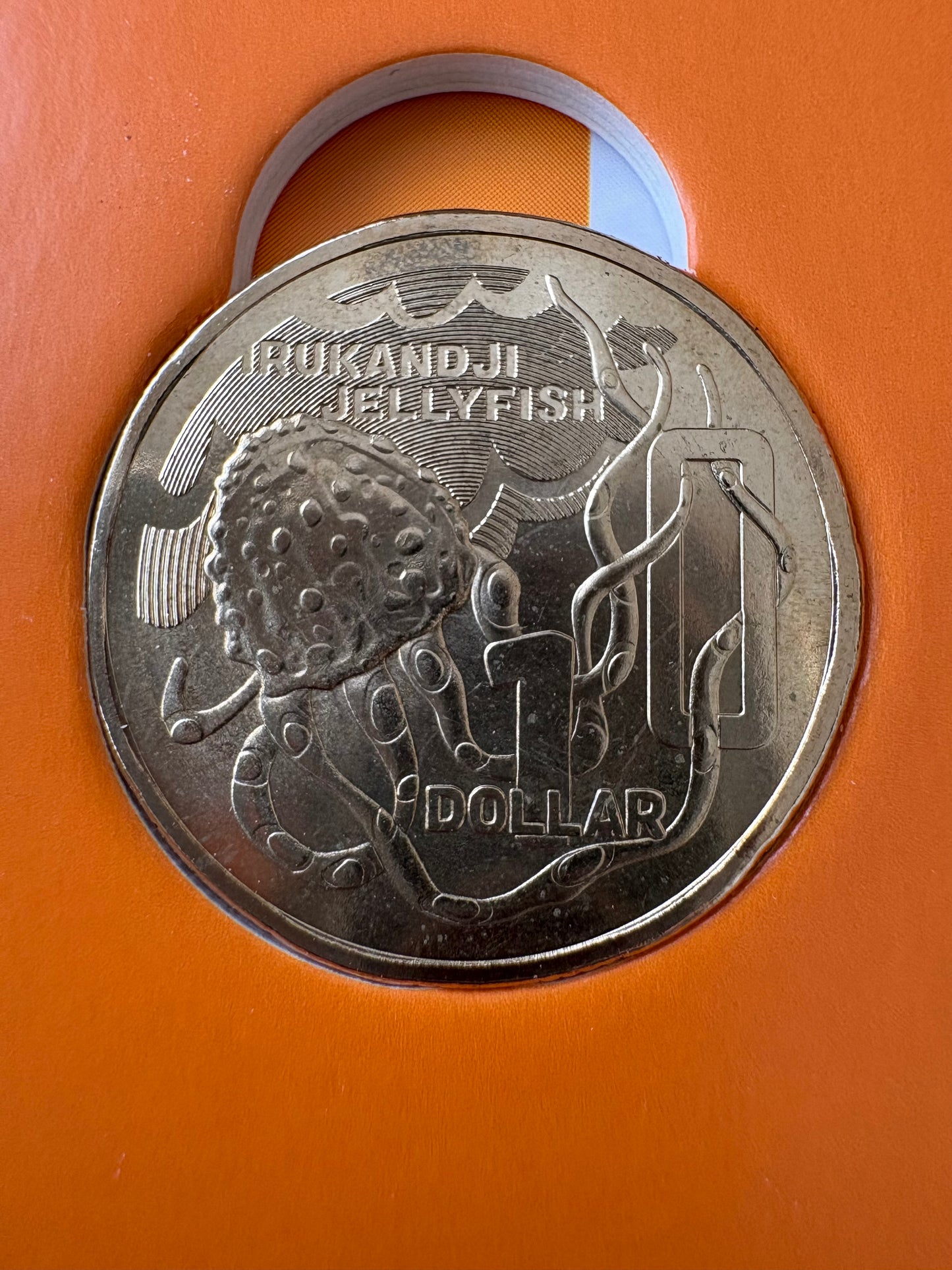 2022 $1 The Great Aussie Coin Hunt 3 - I for Irukandji Jellyfish