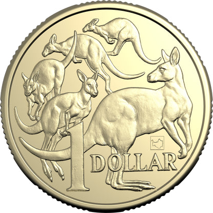 Australia ANDA Brisbane Money Expo 2025 $1 ANDA 30th Anniversary Map of Brisbane Privymark Uncirculated Coin