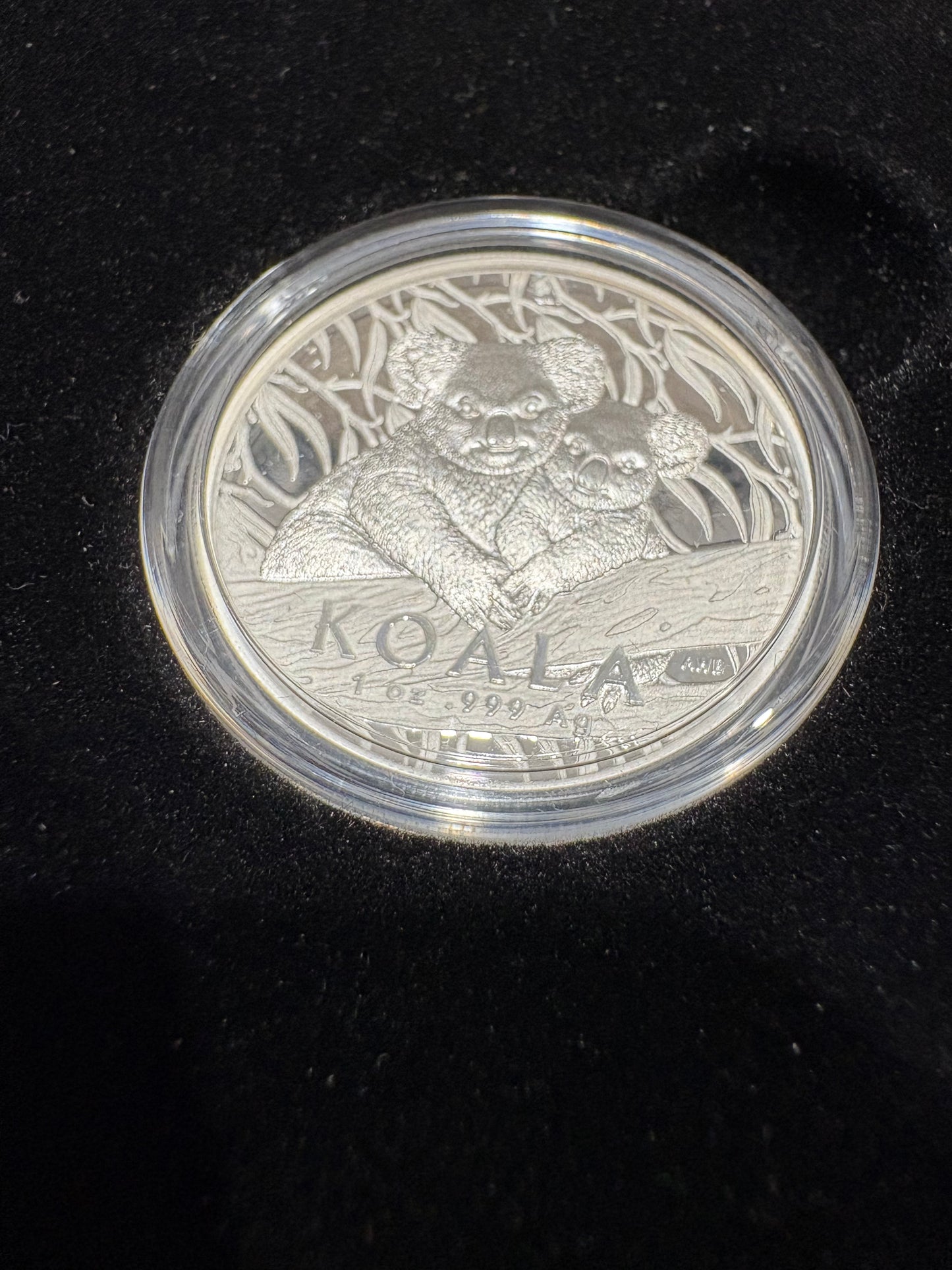 2025 $5 Koala Series – Koala 1oz Fine Silver High Relief Proof Coin