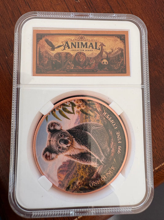 1oz .999 Fine Copper Koala Coloured Round – Animal Collector Series – Slabbed