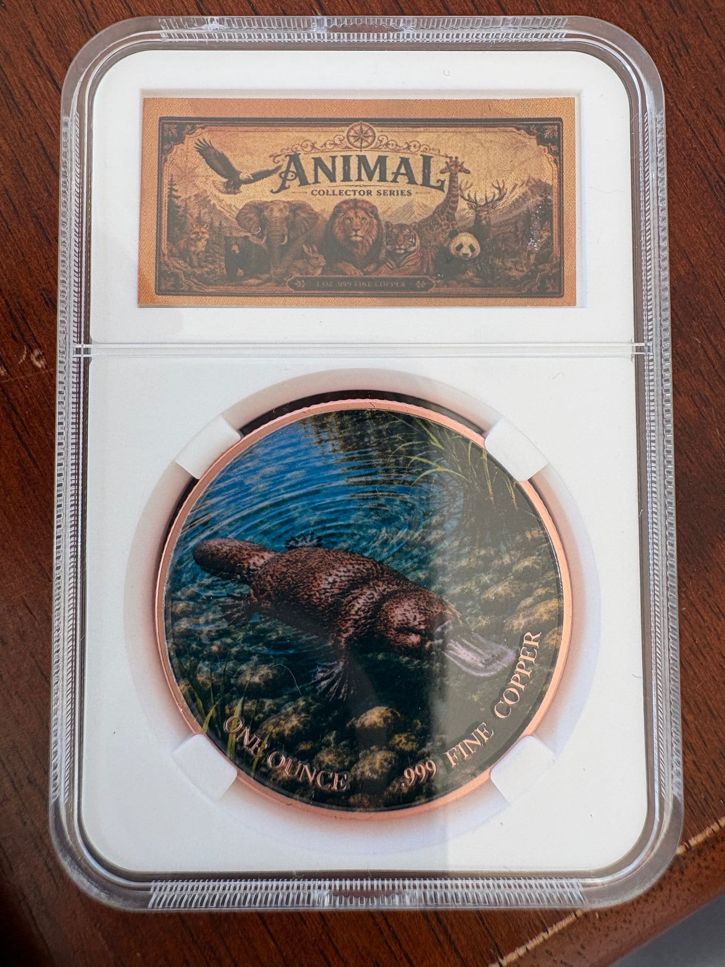 1oz .999 Fine Copper Platypus Coloured Round – Animal Collector Series – Slabbed