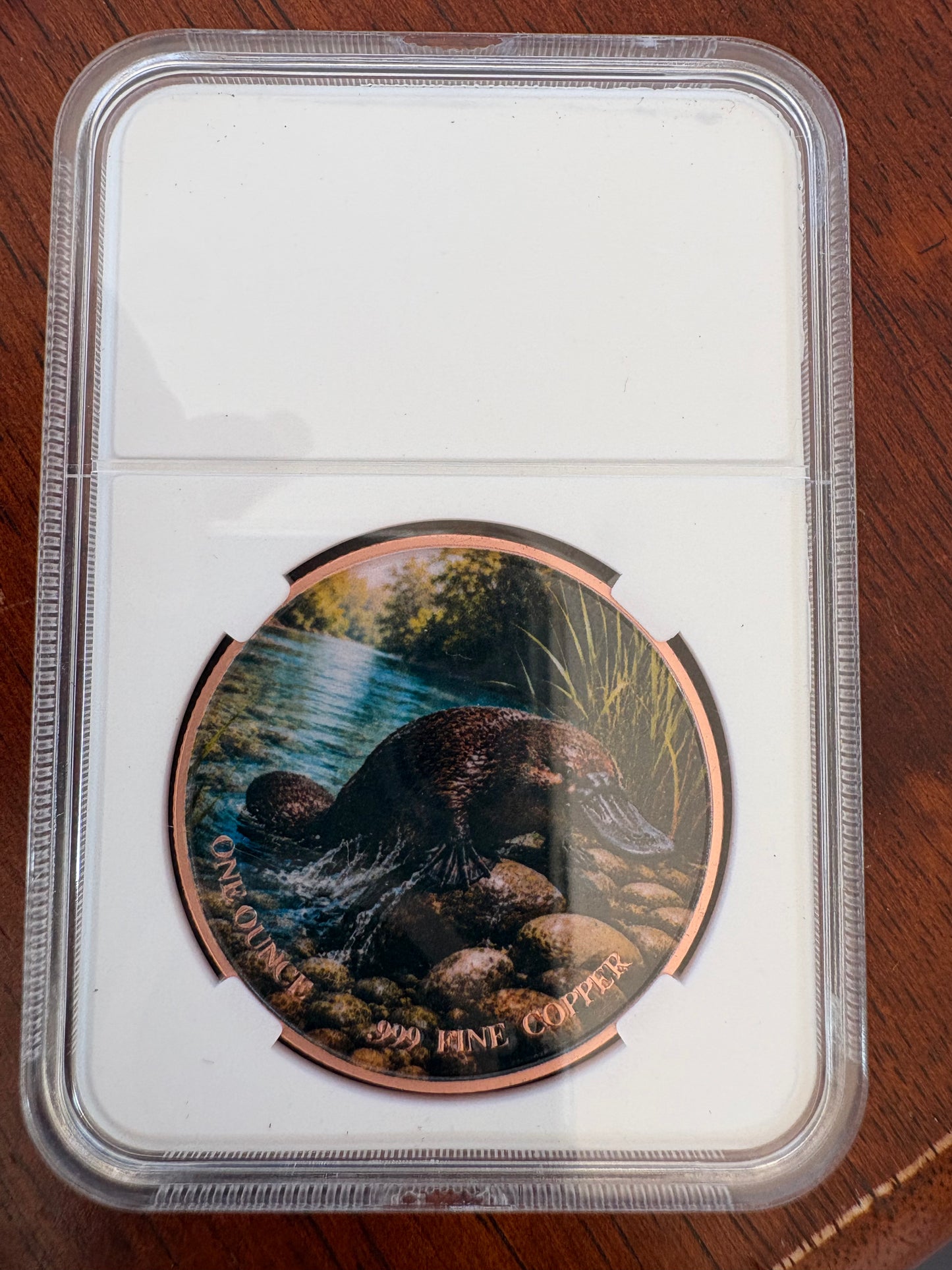 1oz .999 Fine Copper Platypus Coloured Round – Animal Collector Series – Slabbed