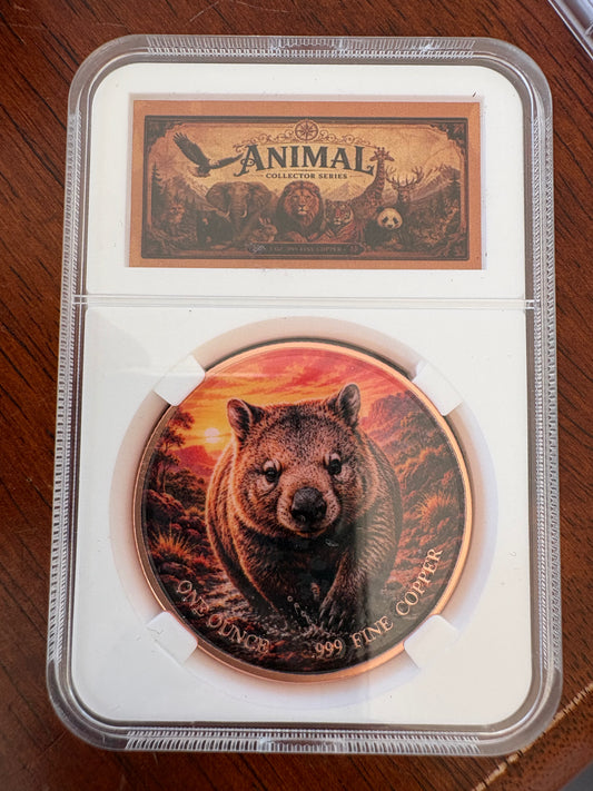 1oz .999 Fine Copper Wombat Coloured Round – Animal Collector Series – Slabbed