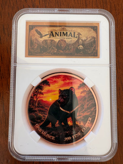 1oz .999 Fine Copper Tasmanian Devil Coloured Round – Animal Collector Series – Slabbed