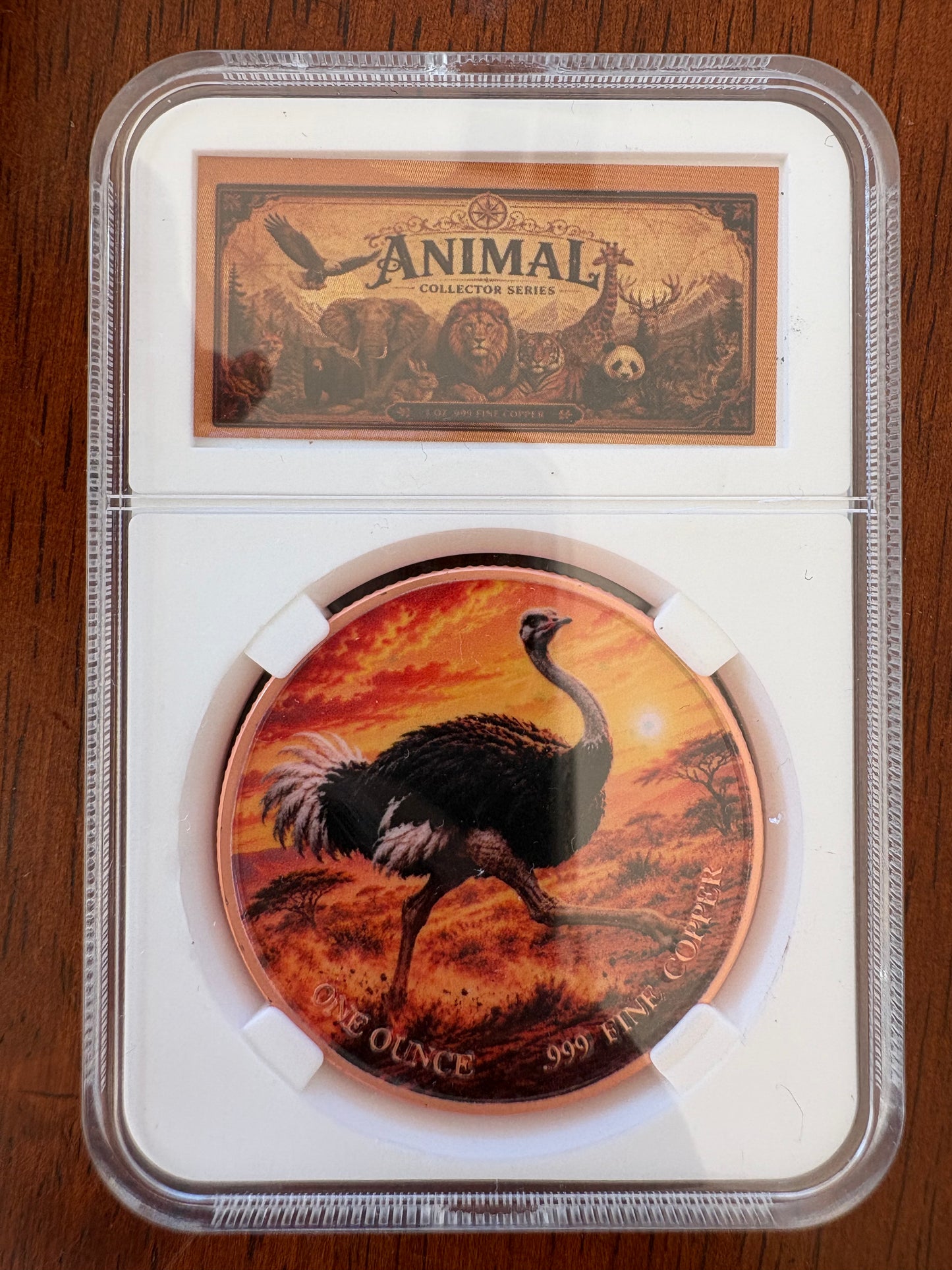 1oz .999 Fine Copper Ostrich Coloured Round – Animal Collector Series – Slabbed