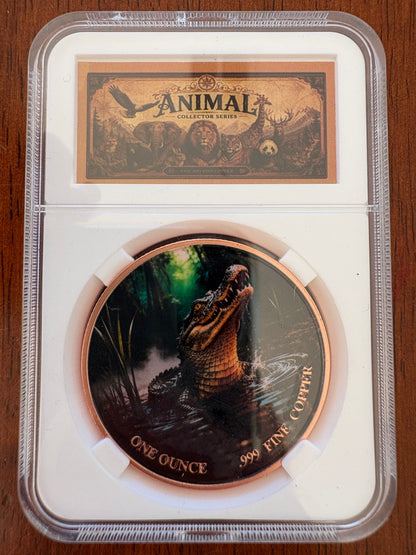 1oz .999 Fine Copper Crocodile Coloured Round – Animal Collector Series – Slabbed