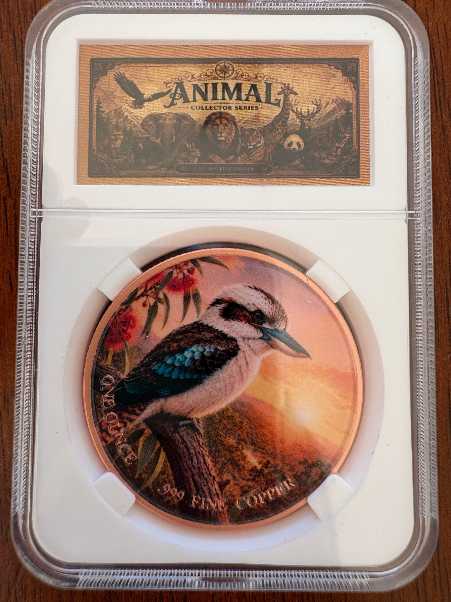 1oz .999 Fine Copper Kookaburra Coloured Round – Animal Collector Series – Slabbed