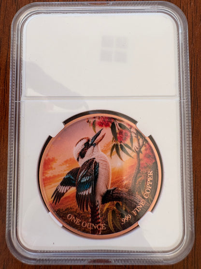1oz .999 Fine Copper Kookaburra Coloured Round – Animal Collector Series – Slabbed