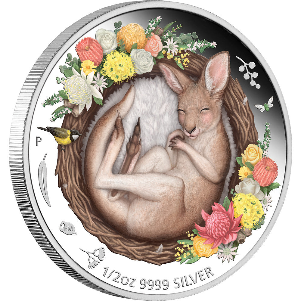 2021 Dreaming Down Under – Kangaroo  1/2oz Silver Proof Coloured Coin | First in Series