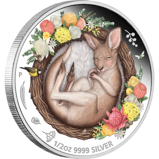 2021 Dreaming Down Under – Kangaroo  1/2oz Silver Proof Coloured Coin | First in Series