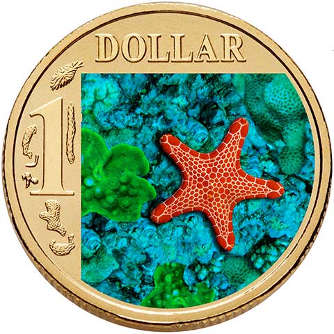 2006 $1 Ocean Series coloured coin - Biscuit Star